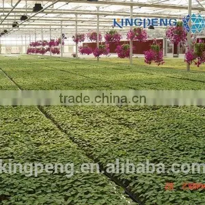 Vegetable Growing Greenhouse thumbnail-2