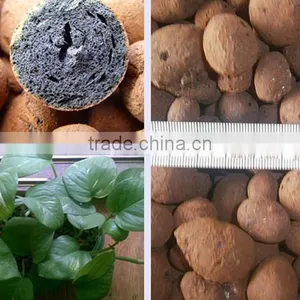 Expanded Clay Manufactures Imports Leca Expanded Clay With Lowest Price thumbnail-6