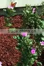 Attractive Price Ground Rubber for Playgrounds thumbnail-1