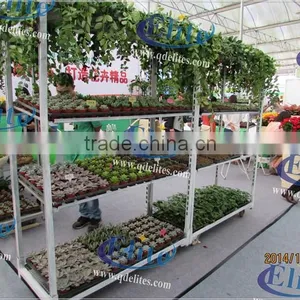 251Seedling Trolleys thumbnail-4