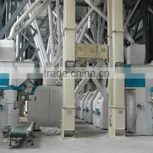 China Manufacturer of Low Noise FDMW Series Horizontal Wheat Scourer thumbnail-6