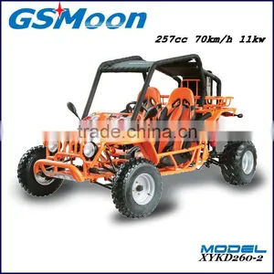 Powerfull China Cheap 250cc EEC go Karts Buggy thumbnail-3
