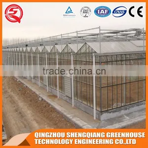 8mm Glass Greenhouse and Hot Dip Galvanized Frame for Sale thumbnail-3