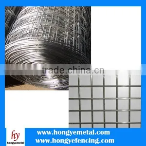 Customized Made High Quality 2X2 Galvanized Welded Wire Mesh Panels thumbnail-6