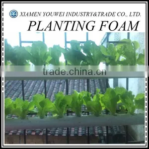 Florist Foam Blocks/Soilless Culture Foam For Greenhouse thumbnail-1