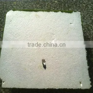 Home Garden China Decoration 100cmx200cm Black Mat Artificial Plant Holland Moss Carpet EZMD03 0209 thumbnail-6