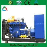 10KW Popular New Energy Biogas Generator thumbnail-3