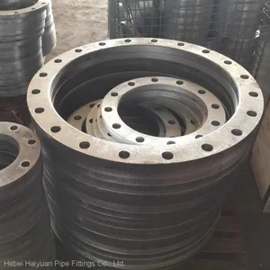 Flanges Forging Flange thumbnail-1