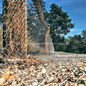 Chicken Wire Hexagonal Wire Mesh Chicken Wire Netting Wire Netting Poultry Fence Poultry Mesh thumbnail-2