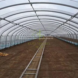 Multi-span Greenhouse thumbnail-2