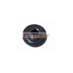 Shacman L3000/F3000/X3000/X6000 Truck Weichai WP10/WP12/WD12 Engine Spare Parts 61500050109 Valve Spring Seat thumbnail-3