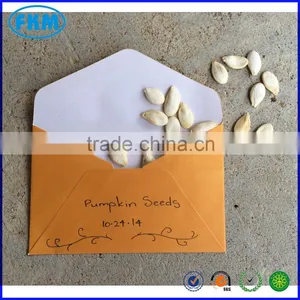 Pumpkin Seeds Envelope thumbnail-1