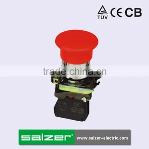 Salzer Brand SA22-BC42 Self-Return Button Switches thumbnail-1