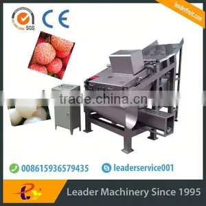 Leader Large Capacity and High Peeling Rate Litchi Skin Separater Machine thumbnail-4