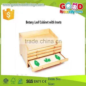 Montessori Materials Botany Leaf Cabinet With Insets/Montessori Educational Toys/Montessori Preschool Teaching Materials thumbnail-1