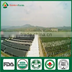 Wholesale Supplier of Organic Fresh Dry Edibal Raw Mushroom Lentinula Edodes Cultivation Growing Kit Log Spawn thumbnail-1