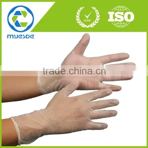 12" Disposable Powder Free PVC Gloves thumbnail-1