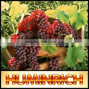 Huminrich Leonrdite Source Efficient Foliar Fertilizer Liquid Humic Acid thumbnail-1