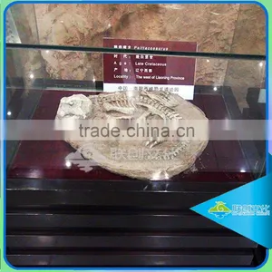 Dinosaur Prehistoric Park Exhibition Dinosaur Egg thumbnail-4