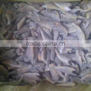 Zhoushan Farming Headless Frozen Small Croaker thumbnail-2