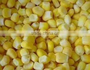 Non-GMO Frozen Sweet Corn Kernels IQF Sweet Corn Kernels thumbnail-2