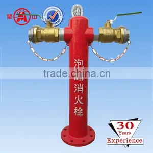Ground Foam Type Fire Hydrant thumbnail-1