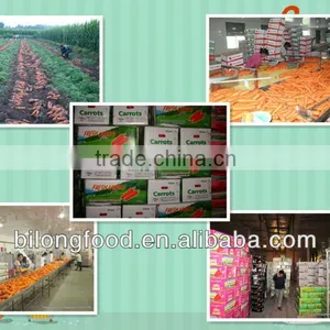 Fresh Mix Vegetable From All China Around thumbnail-6