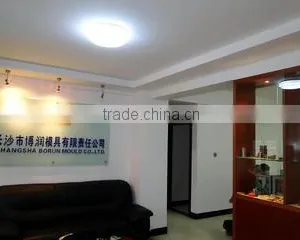 Changsha Borun Mould Co., Ltd. company overview - view 1 thumbnail