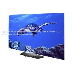 LG OLED65B6P Flat 65-Inch 4K Ultra HD Smart OLED TV thumbnail-1