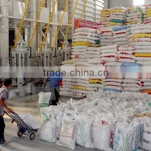 White Rice JAPONICA/LONG GRAIN/JASMIN GOOD QUALITY(/Viber/Whatsaap:+84965152844) thumbnail-5