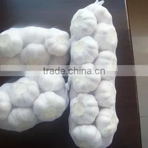 Fresh Normal White Garlic From Cold Store thumbnail-1