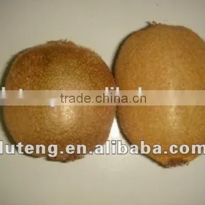 2016 Chinese Bulk Fresh Kiwi Fruits Exporter From China thumbnail-4