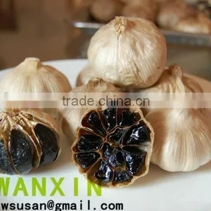 China Black Garlic thumbnail-1