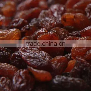 Xinjiang Raisins Dark Raisins Sultana Raisin thumbnail-2