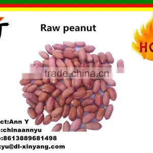 Wholesale Long Size Chinese Peanut Kernels From China thumbnail-2