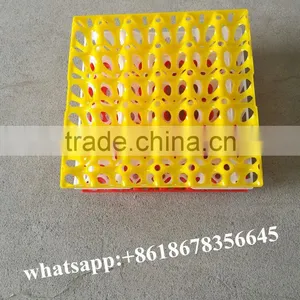 Plastic Egg Packing Plate 30 Pcs Chicken Egg Packing Tray for Sale thumbnail-1