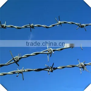 Cheap Price Barbed Wire Factory / Galvanized Barbed Wire per Roll thumbnail-1
