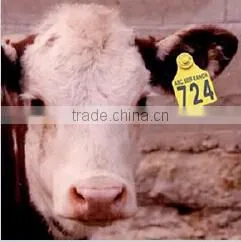 Hot Sale! Top Quality Cattle Tracking 125khz RFID Animal Ear Tag thumbnail-4