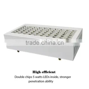 5w Epistar Chip 300w Led Grow Light Full Spectrum Hydroponic Lights for Plants Grow thumbnail-4