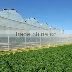 Commercial Greenhouse Galvanized Steel Tube Farm Commercial Greenhouse thumbnail-2