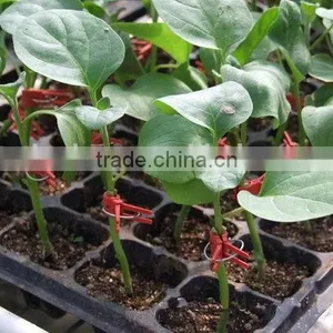 The Newest Promotion Personalized Rice Seedling Tray Wholesale thumbnail-6