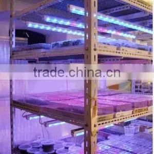 Buy Led Grow Light From China VANQ Led Grow Tube With Daisy-chain,30% Discount Price thumbnail-6
