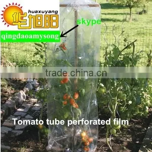 PE Garden UseTomato Tube Green House Packing in Bag thumbnail-3