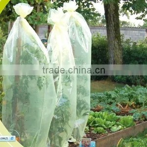 70micorn Thickness PE Plastic Tomato Plant Cover for Agricultural Use thumbnail-1