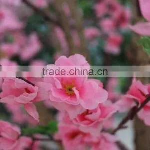 8ft Pink Silk Flower Tree Fake Blossom in Wholesale Price for Indoor Decoration thumbnail-1