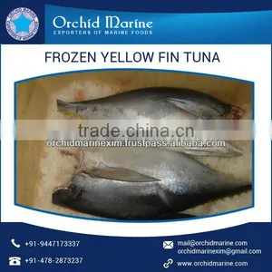 Yellowfin Tuna With Definite Flavor Available From Top Manufacturer/Supplier thumbnail-1