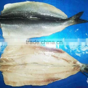 морская продукция thumbnail-1