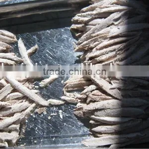 Frozen Bonito Tuna Loins thumbnail-1