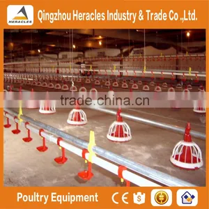 Factory Hight Quality Galvanized Poultry Farm Materials on Sale thumbnail-5