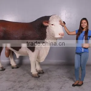 Hereford Bull thumbnail-5